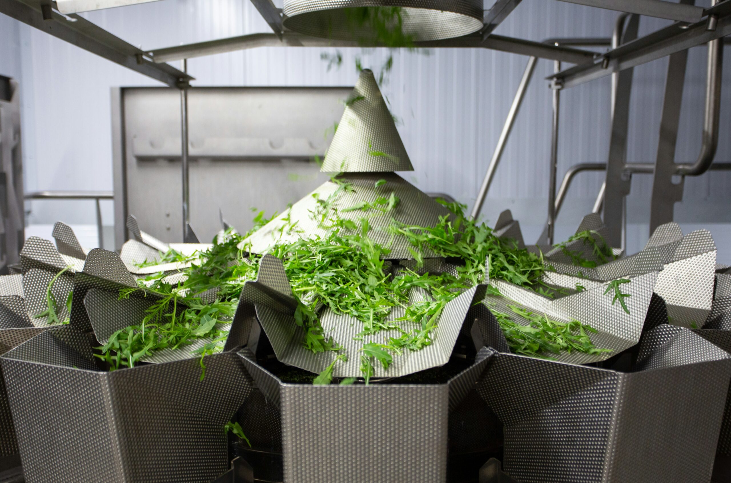 Isolamento Vibrazioni per Cubettatrici e Taglierine Industriali di Verdure